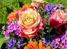 designer’s choice flowers, shop now for delivery in  Springfield